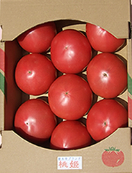 道の駅みかもで販売中の小林農園 とちぎ小江戸ブランド「桃姫トマト」（箱）Lサイズ　2kg