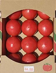 道の駅みかもで販売中の小林農園 とちぎ小江戸ブランド「桃姫トマト」（箱）Mサイズ　2kg